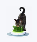 Catit Senses Jardim de Erva Gateira - Image 3