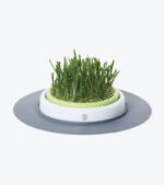 Catit Senses Jardim de Erva Gateira - Image 2