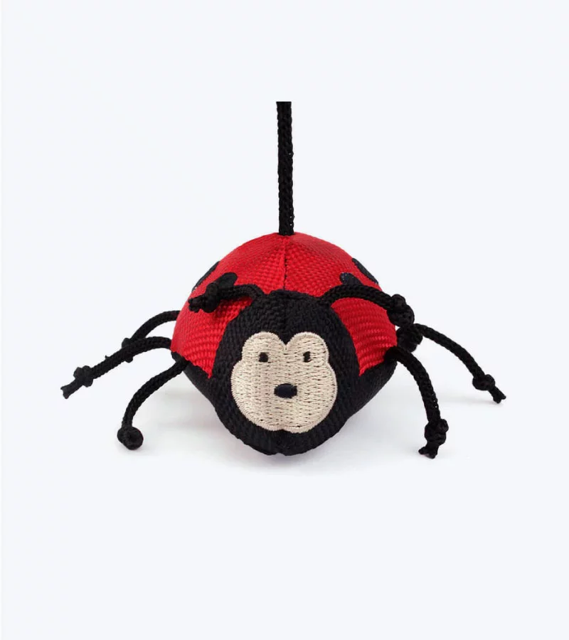 Beco Wand - Lottie The Ladybird - Image 1