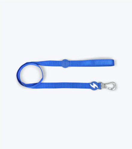 Dashi Trela Azul