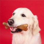 Osso para Cão em Madeira para Roer - Morango - Dashi Fruity Bones - M - Image 6