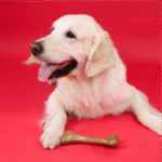 Osso para Cão em Madeira para Roer - Morango - Dashi Fruity Bones - M - Image 7