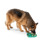 Feast Mat Bubbles | Slow Feeder + Lick Mat | West Paw - Image 9
